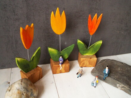 Tulipány