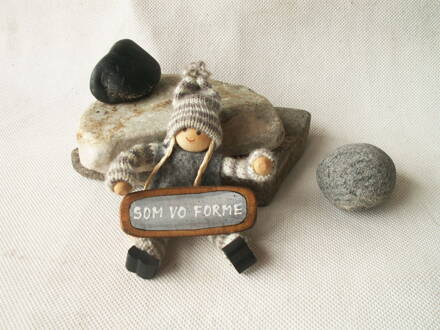Som vo forme - brošňa